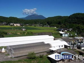 大津壁喜萊 火山送給人類的神秘禮物