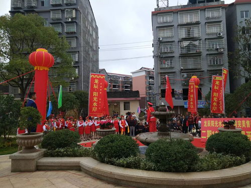 龍辰 陽光水岸 10月6日二期新品,開盤熱銷中